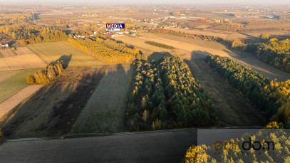 Działka Sprzedaż Karolew