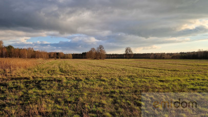 Działka Sprzedaż Jaźwiny