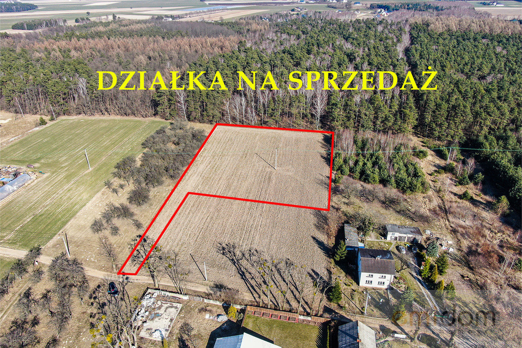 Działka Sprzedaż Załuski