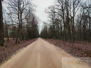 Działka Sprzedaż Starawieś Maciejów