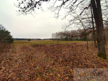 Działka Sprzedaż Starawieś Maciejów