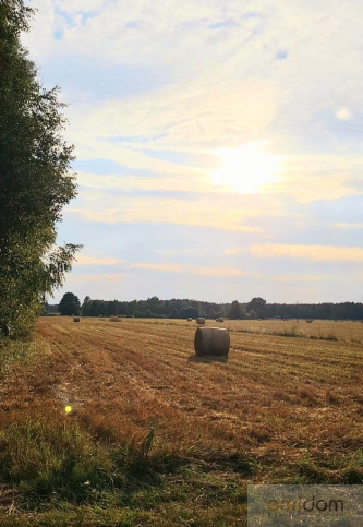 Działka Sprzedaż Wólka Kościeniewicka 4