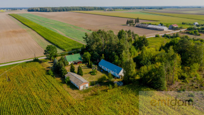 Dom Sprzedaż Bałki