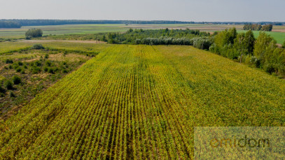 Dom Sprzedaż Bałki