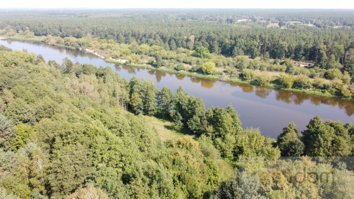 Działka Sprzedaż Paulinowo Królowej Bony 6