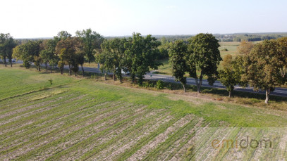 Działka Sprzedaż Bojmie Warszawska