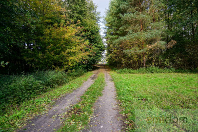 Działka Sprzedaż Waleriany