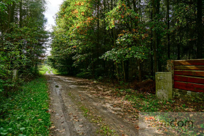 Działka Sprzedaż Waleriany