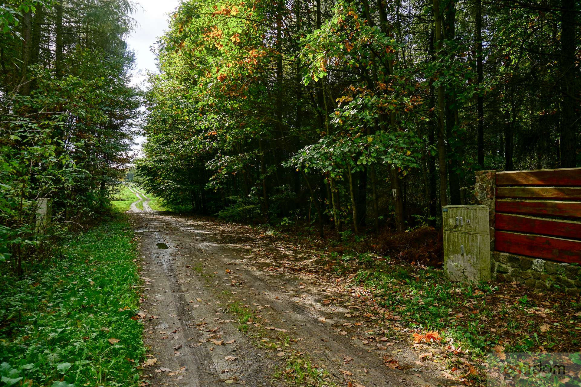 Działka Sprzedaż Waleriany