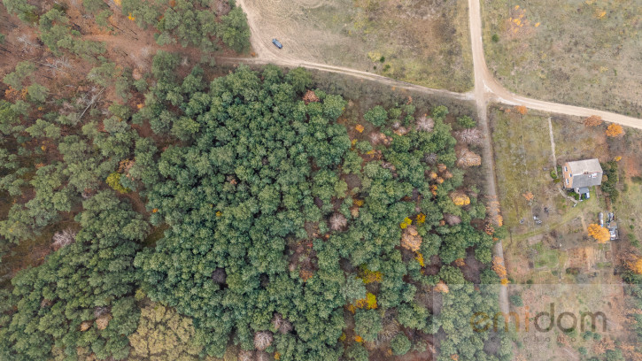 Działka Sprzedaż Siestrzeń Nad Lasem 3