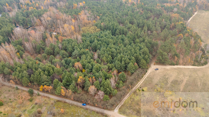 Działka Sprzedaż Siestrzeń Nad Lasem 6