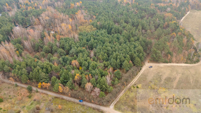 Działka Sprzedaż Siestrzeń Nad Lasem