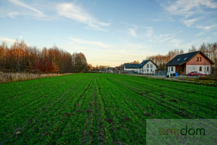 Dom Sprzedaż Chrzanów Mały 19