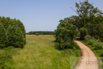 Działka Sprzedaż Szafranki