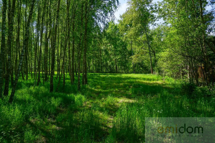 Działka Sprzedaż Badów Górny Piekarska 4