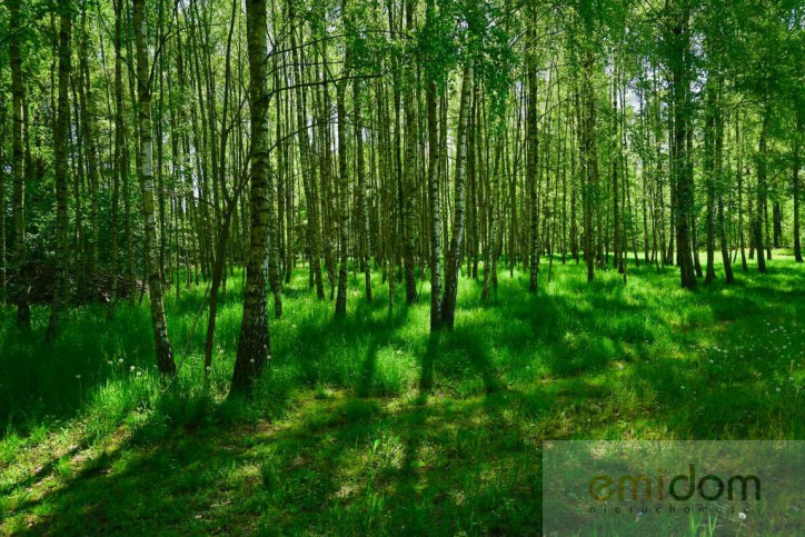 Działka Sprzedaż Badów Górny Piekarska 3