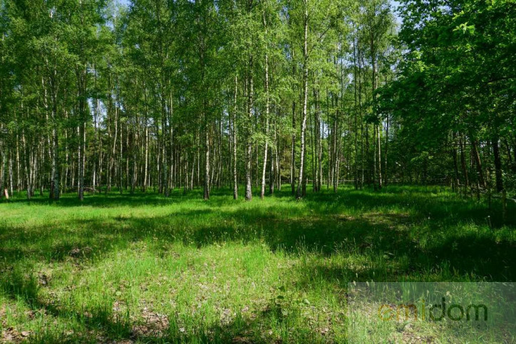 Działka Sprzedaż Badów Górny Piekarska 8