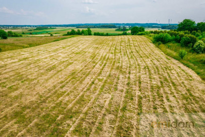 Działka Sprzedaż Rusinowo