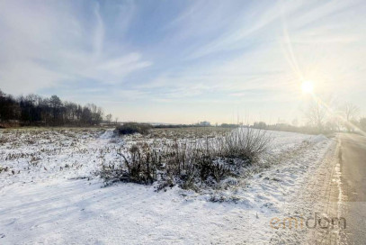 Działka Sprzedaż Kłudno Nowe