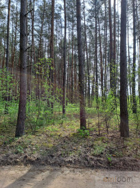 Działka Sprzedaż Międzyleś