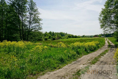 Działka Sprzedaż Waleriany