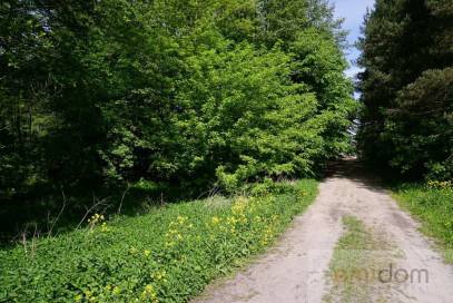 Działka Sprzedaż Waleriany