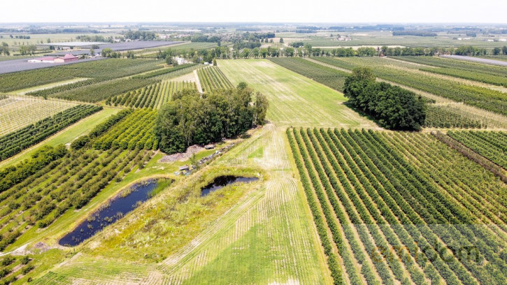 Działka Sprzedaż Wilcze Piętki 8