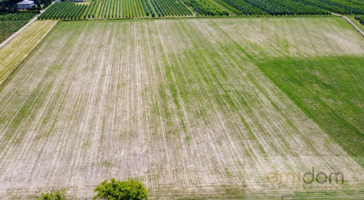 Działka Sprzedaż Wilcze Piętki 10