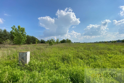 Działka Sprzedaż Wąsy-Kolonia