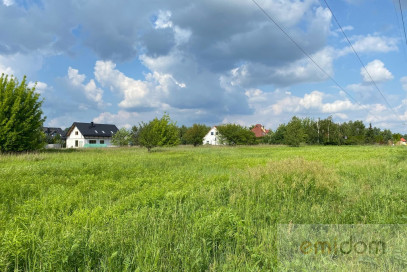 Działka Sprzedaż Wąsy-Kolonia