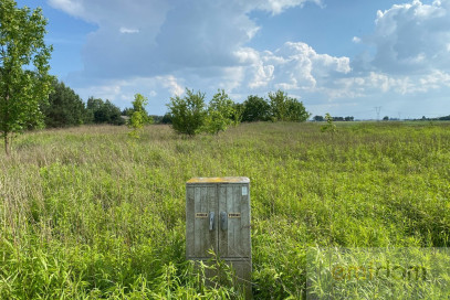 Działka Sprzedaż Wąsy-Kolonia