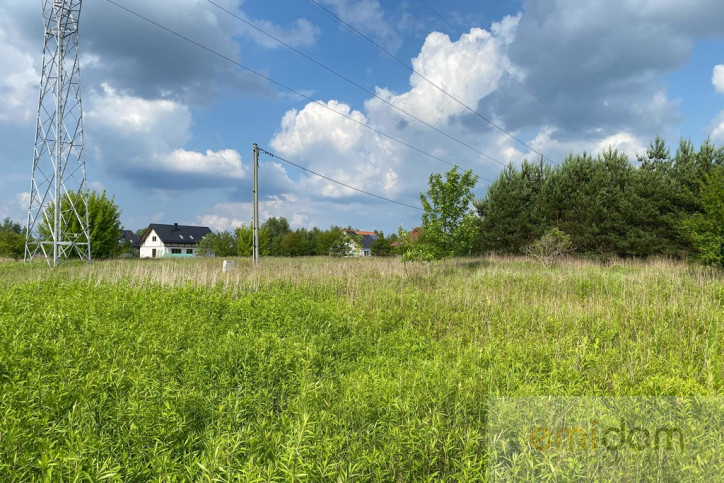 Działka Sprzedaż Wąsy-Kolonia 9