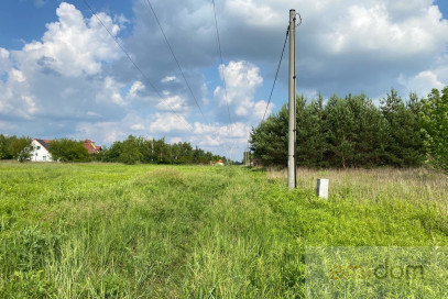 Działka Sprzedaż Wąsy-Kolonia