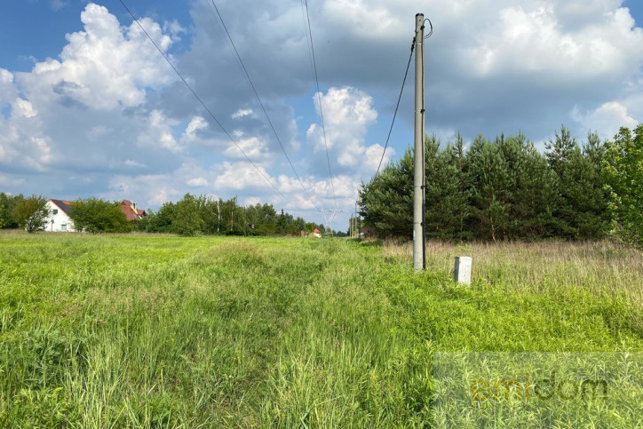 Działka Sprzedaż Wąsy-Kolonia 11