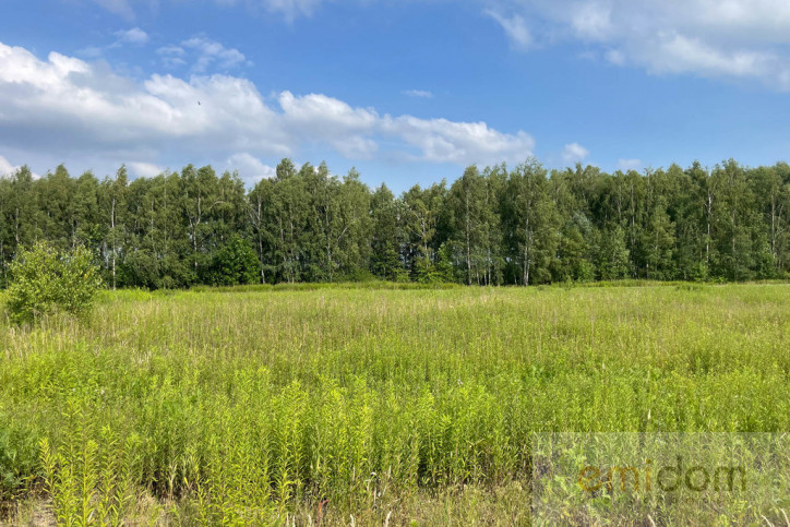 Działka Sprzedaż Bednary 11