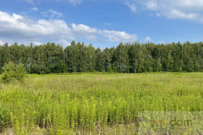 Działka Sprzedaż Bednary