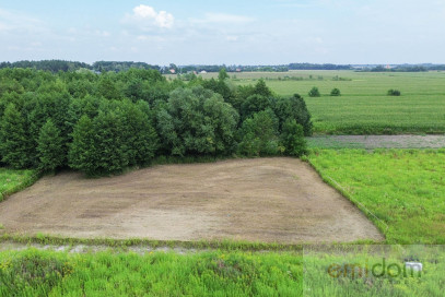 Działka Sprzedaż Kłudno Nowe